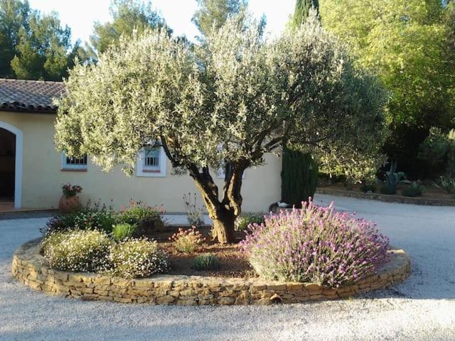 Maison Privee Au Calme Dans Mas Provencal Vila Sanary-sur-Mer Exterior foto
